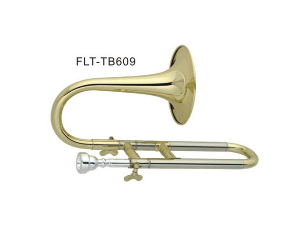 ƤL̖(ho)  FLT-TB609