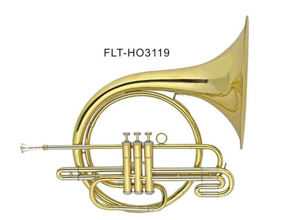Ԫ̖  FLT-HO3119