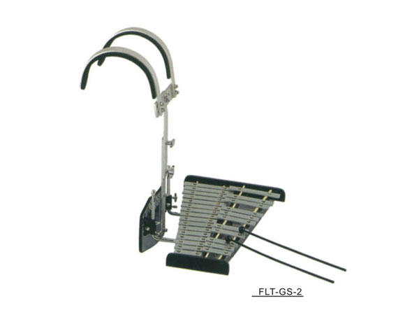 X    FLT-GS-2