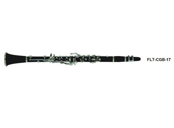 17Iڹ  FLT-CGB-17
