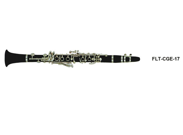 17Iڹ FLT-CGE-17