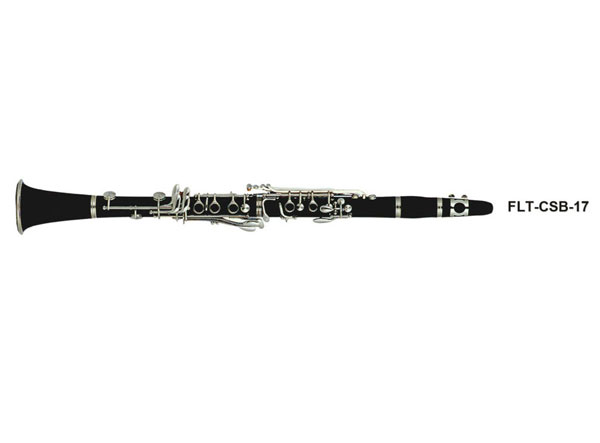 17Iڹ  FLT-CSB-17