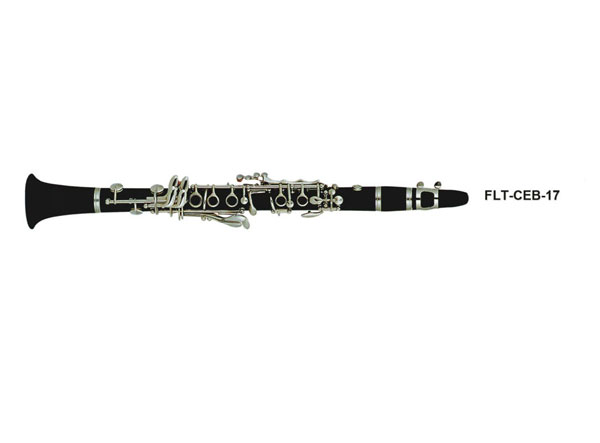 17Iڹ FLT-CEB-17