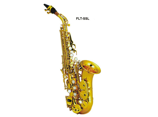 ܸ_˹  FLT-SSL