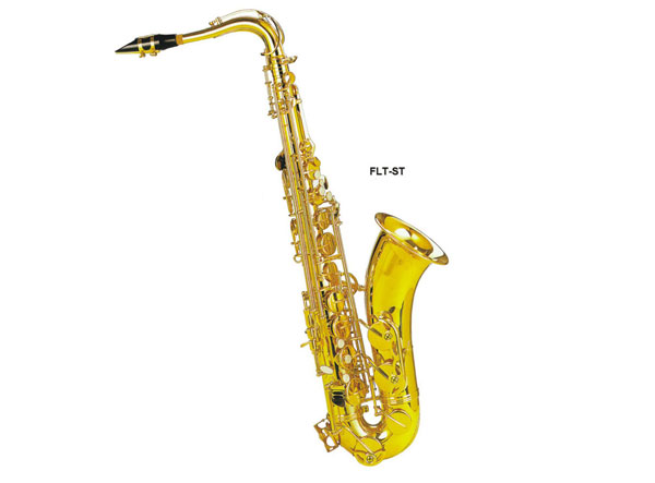 _˹  FLT-ST