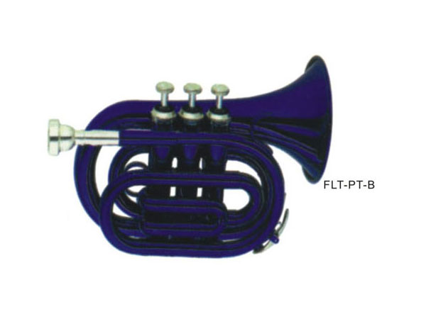 ̖ FLT-PT-B