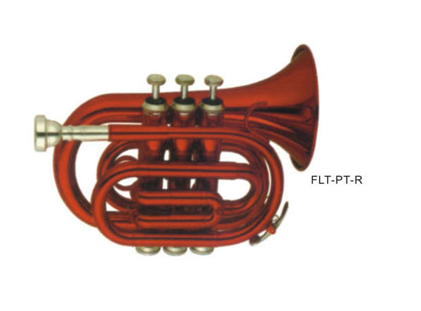 ̖  FLT-PT-R