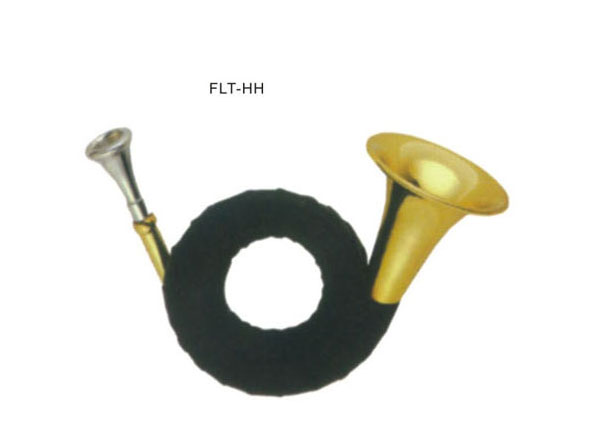 C̖  FLT-HH