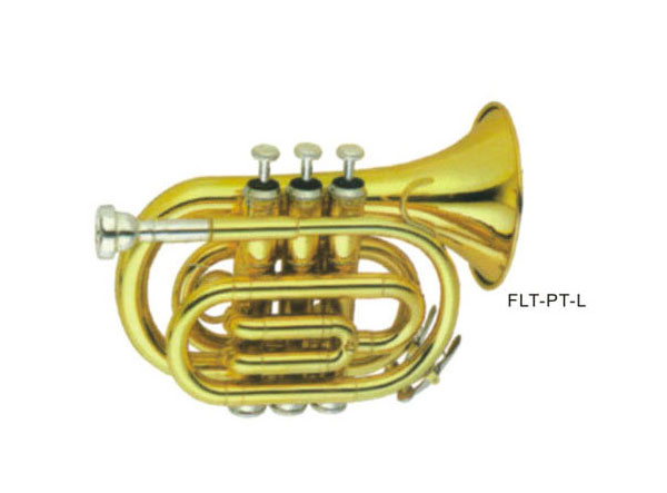 ̖  FLT-PT-L