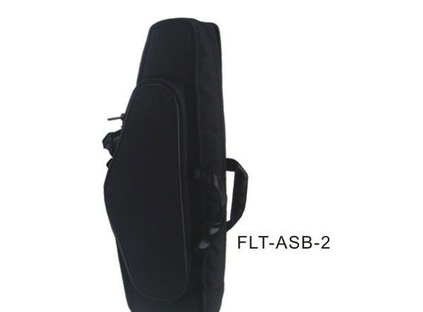 _˹  FLT-ASB-2