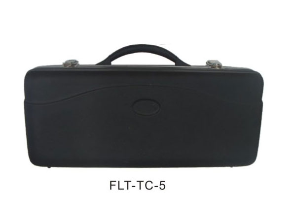 С̖  FLT-TC-5