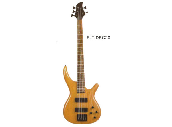 늼  FLT-DBG20