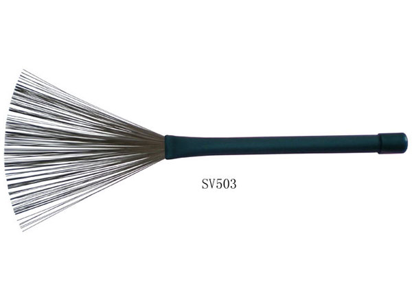 Fˢ  SV503