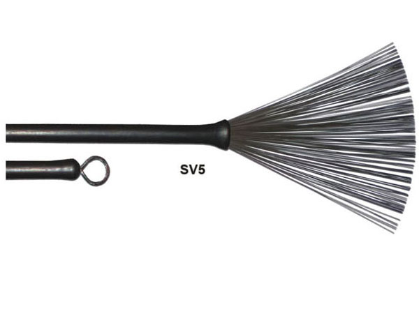 Fˢ  SV5