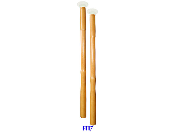  FT17  ^